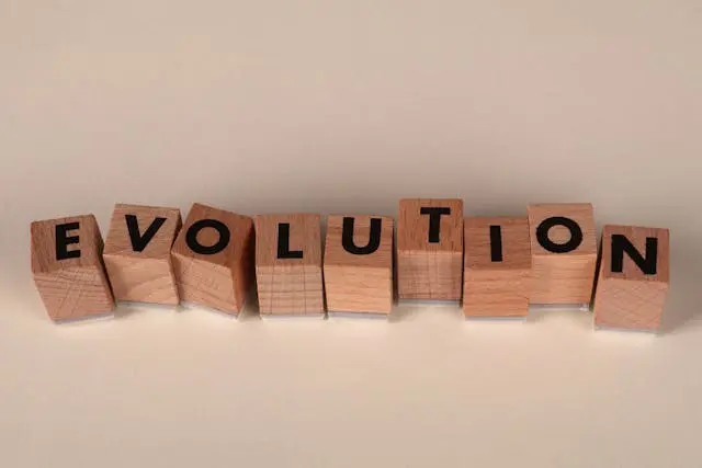 Transitioning to a new career can be an evolution